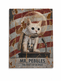 Mr. Pebbles “The First Cat in Space” Weathered Metal Wall Art